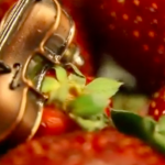 Libertango İstanbul- Anjelika Akbar & Rahşan Apay