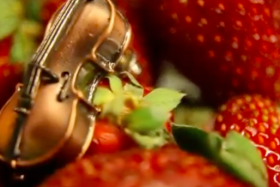 Libertango İstanbul- Anjelika Akbar & Rahşan Apay